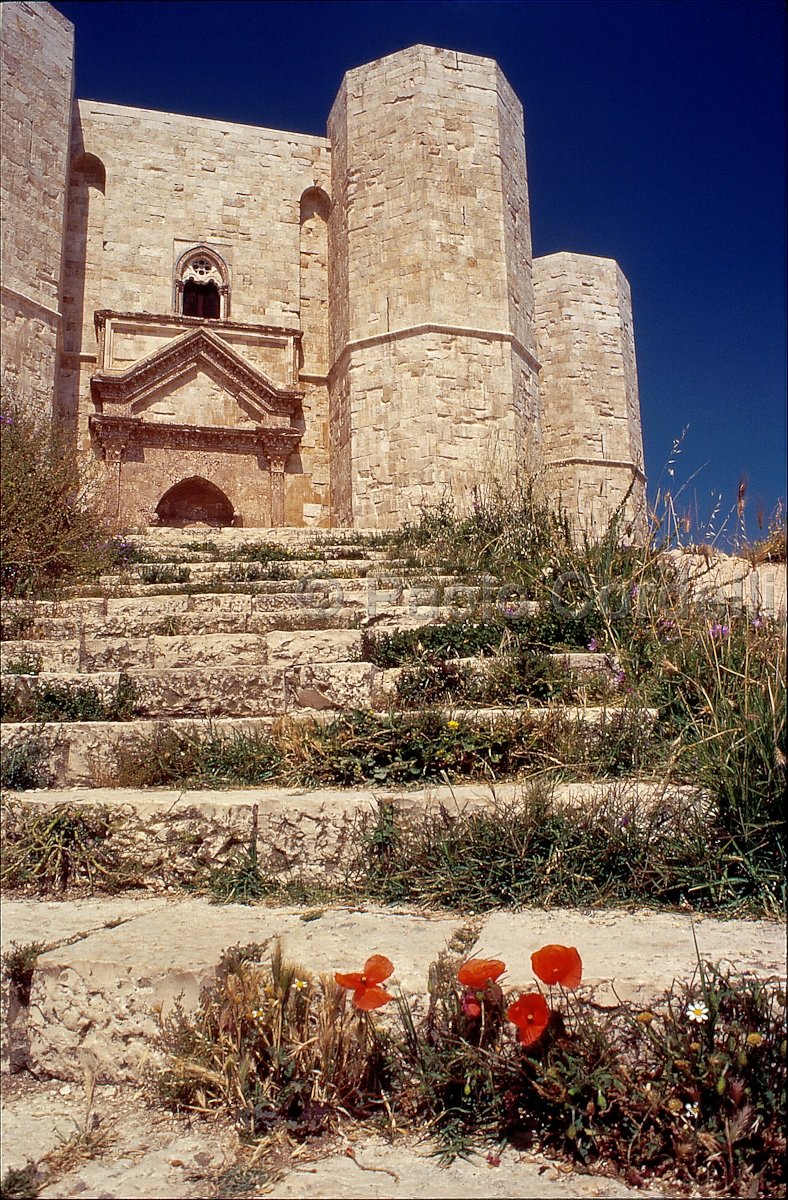 Castel del Monte, Apulia, Puglia, Italy
(cod:Puglia 13)